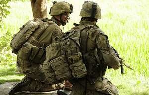 Maintaining a healthy local defence industry 